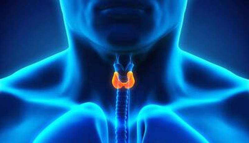 آیا اختلال تیروئید موجب افزایش وزن و نازایی می‌شود؟